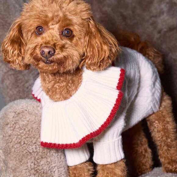 Reformation X Shrimps Chip Regenerative Wool Dog Sweater - Picture 2 of 9